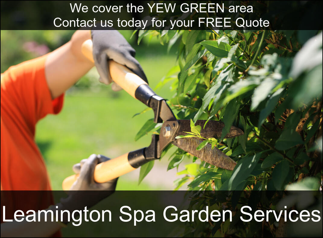 Hedge Maintenance in Yew Green