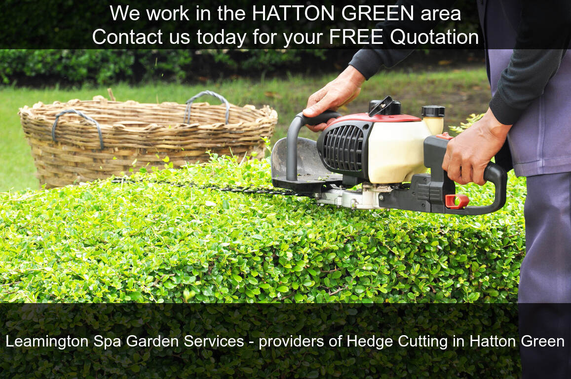 Hatton Green hedges cut by us