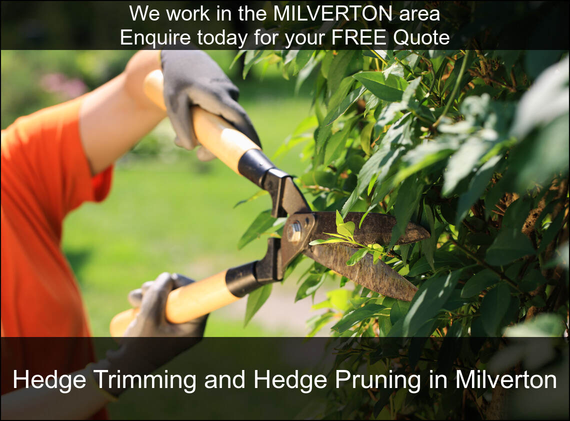 Milverton hedges cut by us