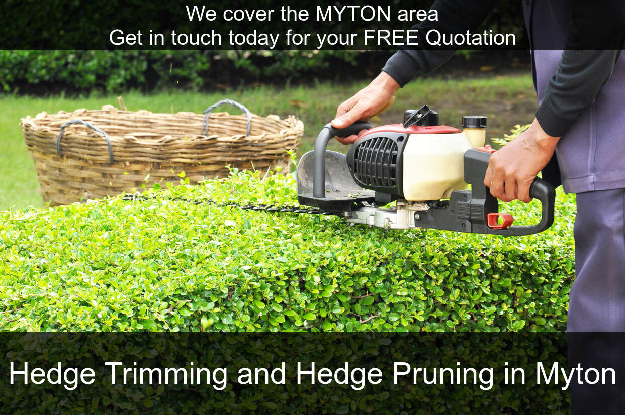 Myton hedges cut by us