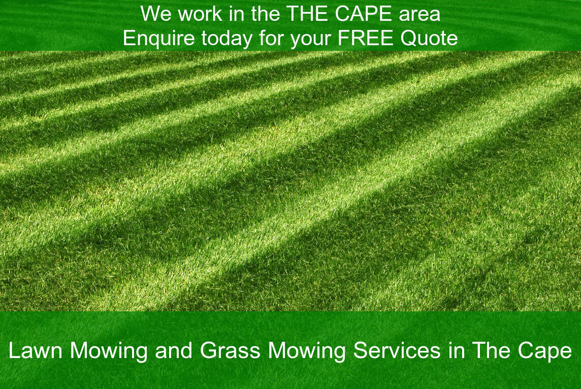 The Cape lawns cut by us