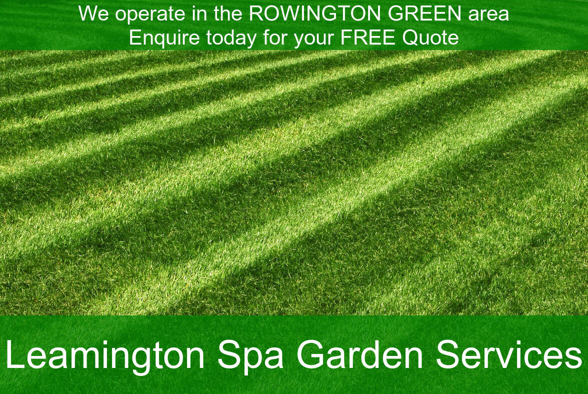 A lovely lawn of a customer in Rowington Green.