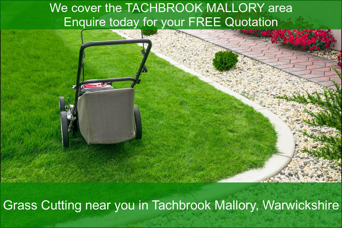 A lovely lawn of a customer in Tachbrook Mallory.